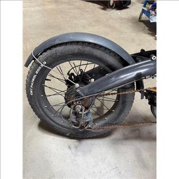 Lectric EXPerience E-Bike