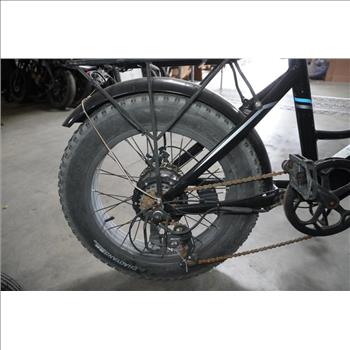 Lectric Experience E-Bike