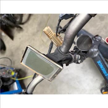 Lectric EXPerience E-Bike