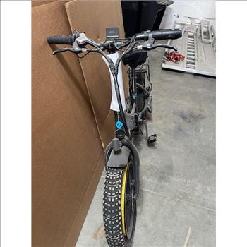 Lectric Experience Folding E-Bike