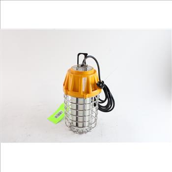 LED Temporary Light