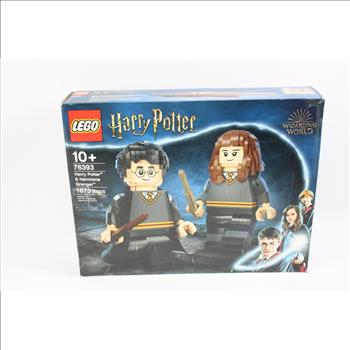 Lego Harry Potter & Hermione Granger Set #76393