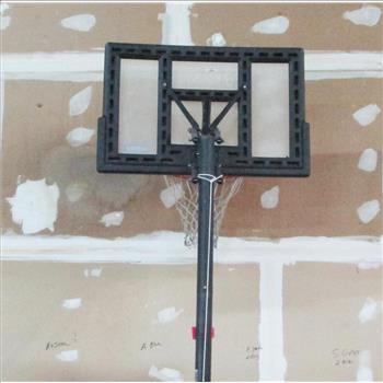 LifeTime Mobile Basketball Goal