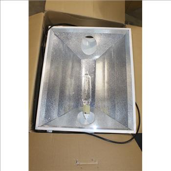 Lightning Growlight Hood