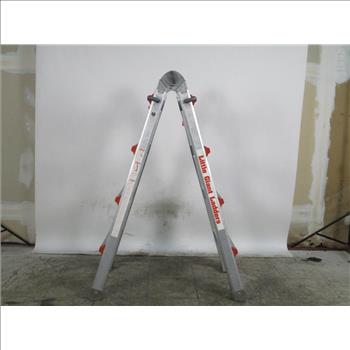 Little Giant Ladders