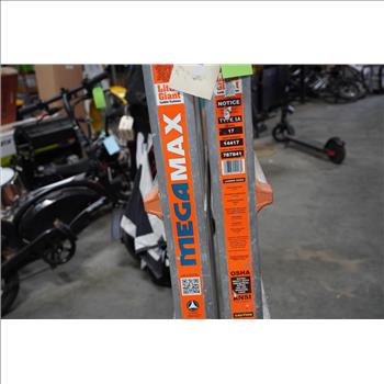 Little Giant MegaMax Ladder, 17