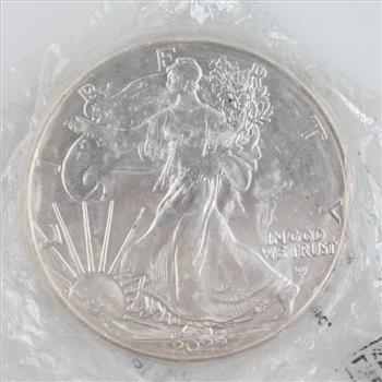 Littleton Coin Company Uncirculated 2022 US American Eagle Fine Silver Dollar 1oz