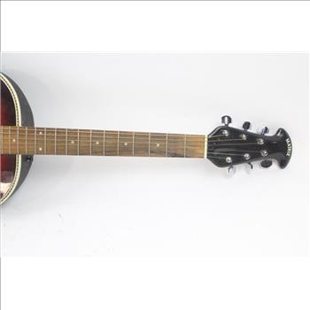 Matrix Acoustic Guitar