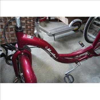 Meridian Schwinn Tricycle Bike