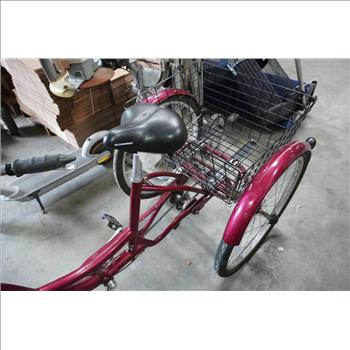 Meridian Schwinn Tricycle Bike