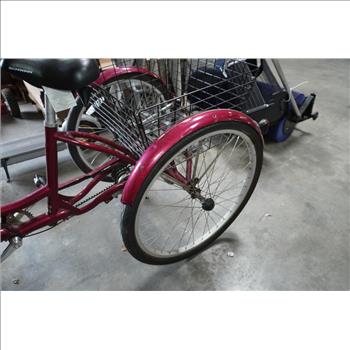 Meridian Schwinn Tricycle Bike