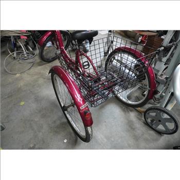 Meridian Schwinn Tricycle Bike