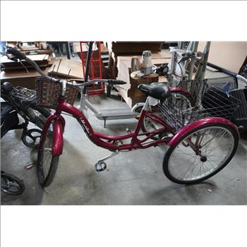 Meridian Schwinn Tricycle Bike