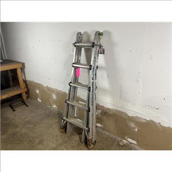 Mighty Multi Pro Ladder
