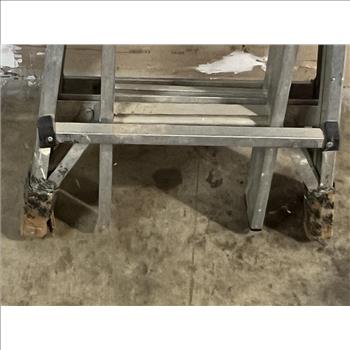 Mighty Multi Pro Ladder