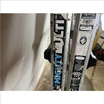 Mighty Multi Pro Ladder