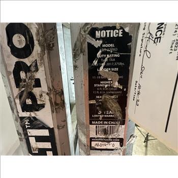 Mighty Multi Pro Ladder