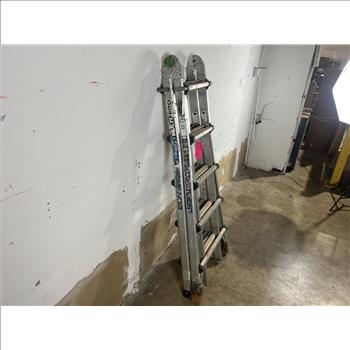 Mighty Multi Pro Ladder