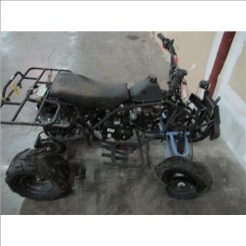 Mini 4 Wheeler