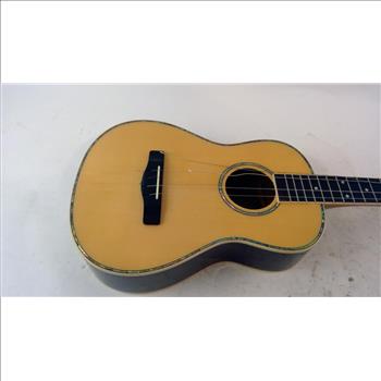 Mitchell Acoustic Guitar