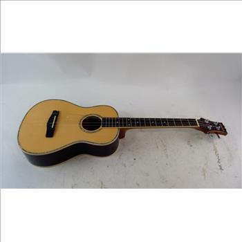 Mitchell Acoustic Guitar