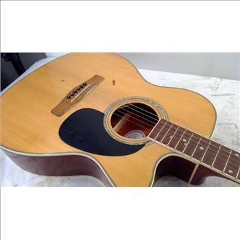 Mitchell  Acoustic Guitar