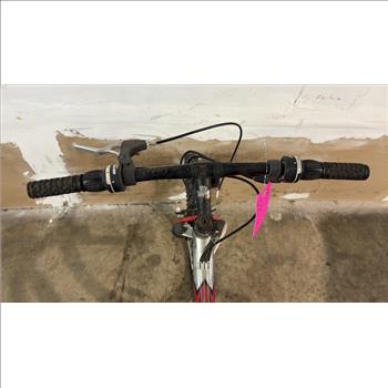 Mongoose Mountain Bike
