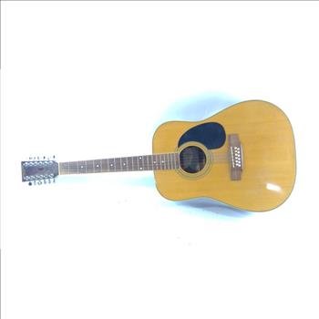 New York Pro Acoustic Guitar