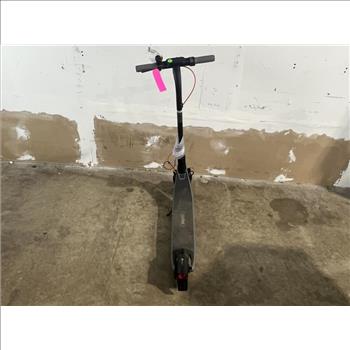 Ninebot Electic Scooter