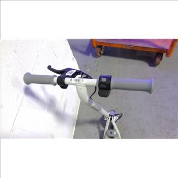 Ninebot Electric Scooter