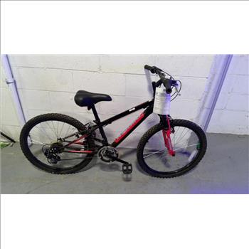 Nishiki Mountain Bike