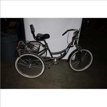 northwoods rock point tricycle