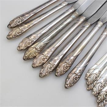 Oneida Vintage 1950s Community Plate Evening Star Pattern Knives - 17 Pieces