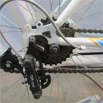 Pacific Evolution Road Bike