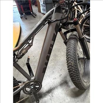 Paselec E-Bike