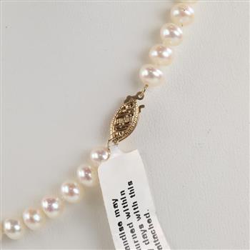 Pearl 10kt Gold Diamond Necklace