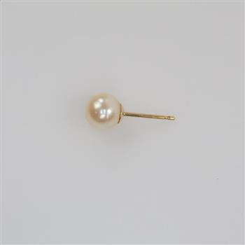 Pearl Earring 14kt Gold Post
