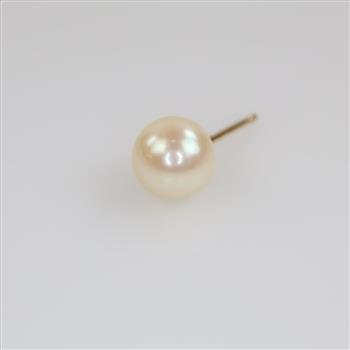 Pearl Earring 14kt Gold Post