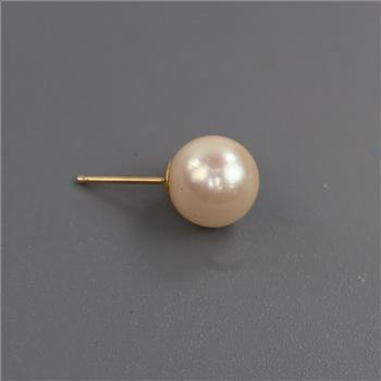 Pearl Earring 14kt Gold Post