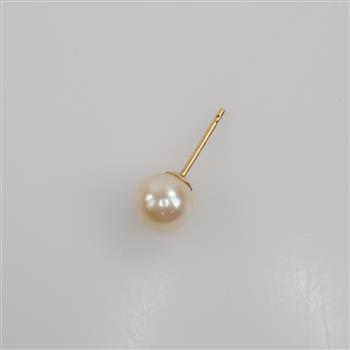 Pearl Earring 14kt Gold Post