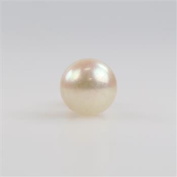 Pearl Earring 14kt Gold Post