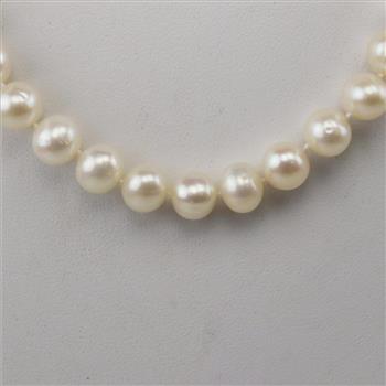 Pearl Sterling Silver Clasp Necklace