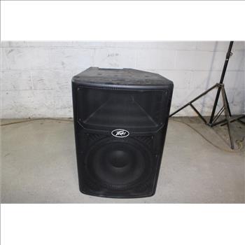 Peavey PVX 15 Speaker