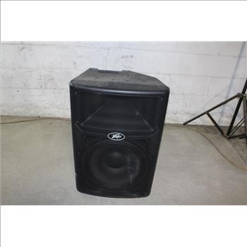 Peavey PVX 15 Speaker