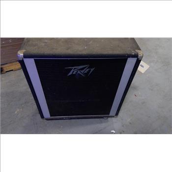 Peavey Speaker