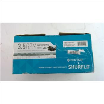 Pentair 3.5GPM Washdown Pump