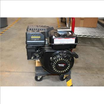 Powermate PM0103002 - 3000 Watt Portable Generator