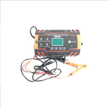 Pulse Repair Battery Charger