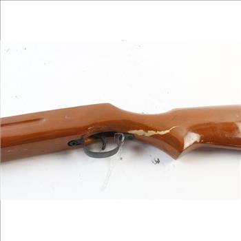 Pump Action BB/Pellet Gun