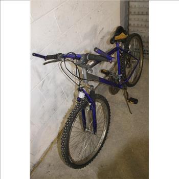 Purple Mountain Bike
